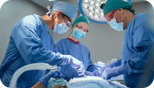 Udruženja urologa Srbije i Evropske asocijacije urologa Udruženja urologa Srbije i Evropske asocijacije urologa