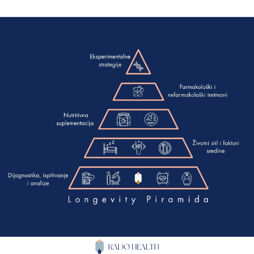 Longevity piramida