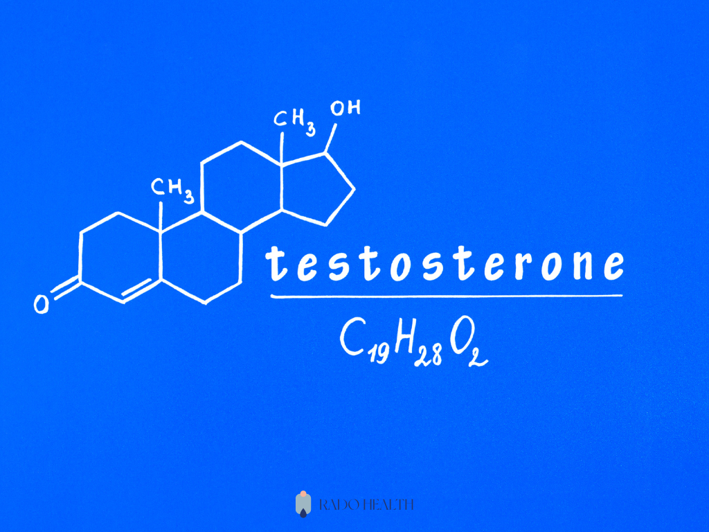 Uloga testosterona u muškom telu Uloga testosterona u muškom telu