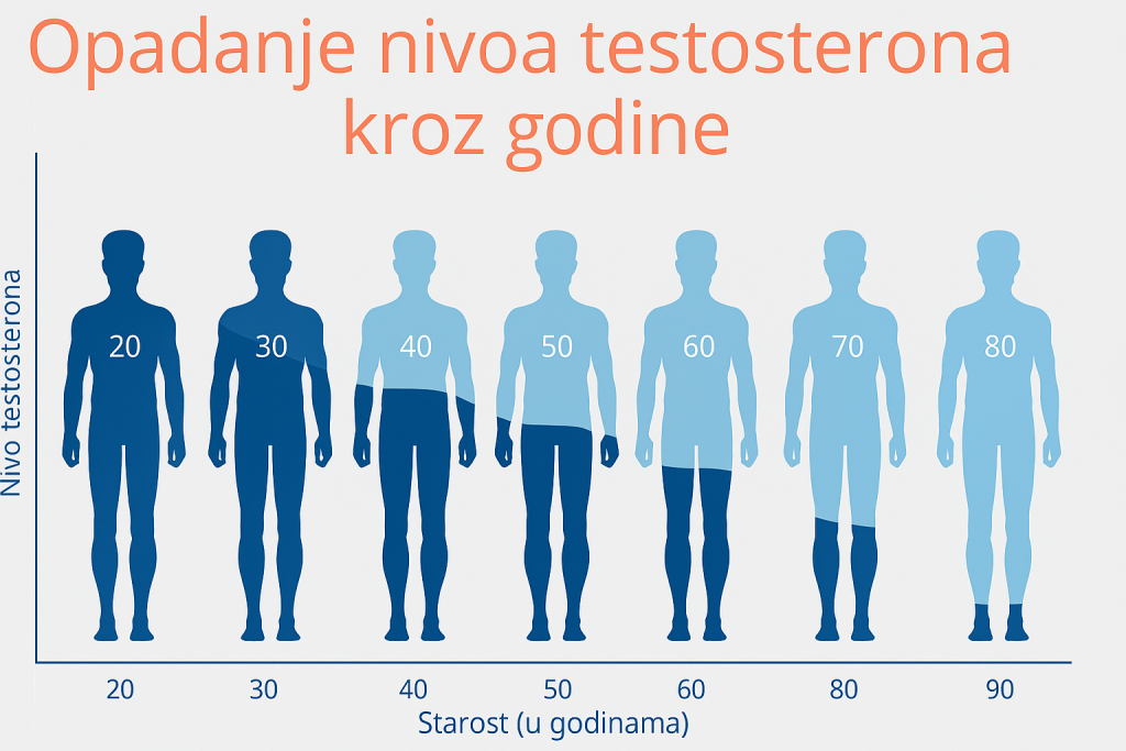 Opadanje nivoa testosterona kroz godine 