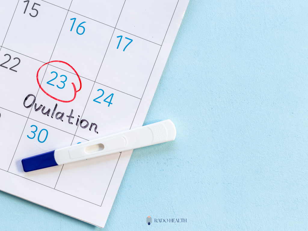 vodic za planiranje trudnoce