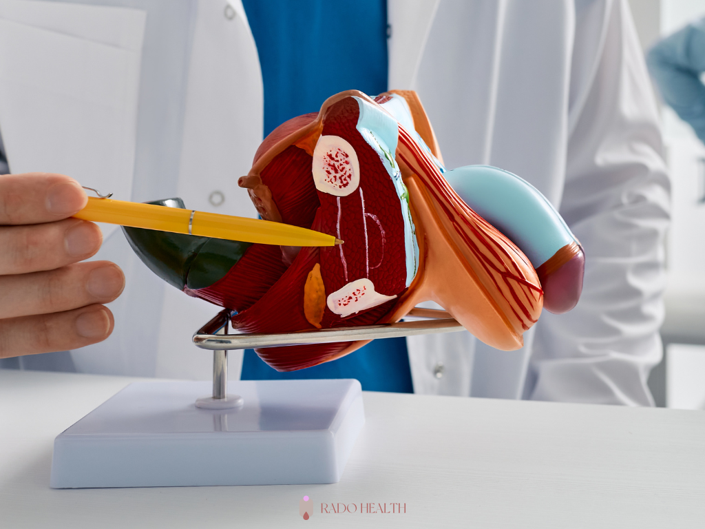 erektilna disfunkcija može biti rani znak poremećaja funkcije krvnih sudova